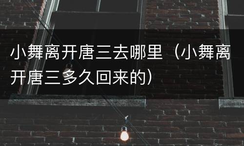 小舞离开唐三去哪里（小舞离开唐三多久回来的）