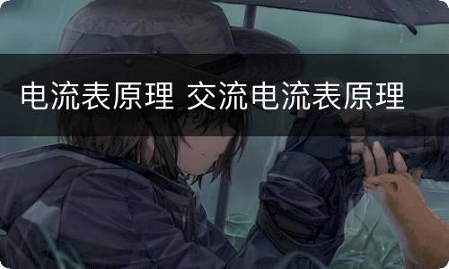 电流表原理 交流电流表原理