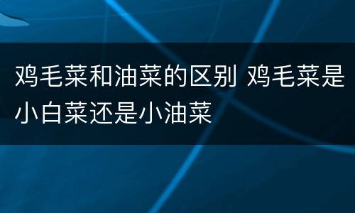鸡毛菜和油菜的区别 鸡毛菜是小白菜还是小油菜