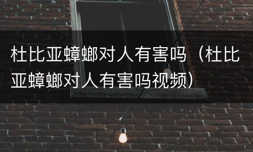 杜比亚蟑螂对人有害吗（杜比亚蟑螂对人有害吗视频）