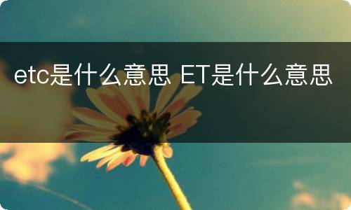 etc是什么意思 ET是什么意思