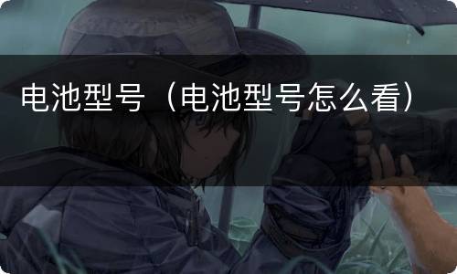 电池型号（电池型号怎么看）