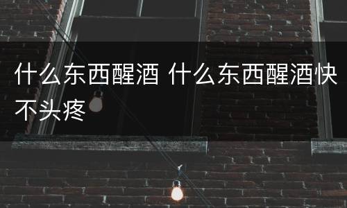 什么东西醒酒 什么东西醒酒快不头疼