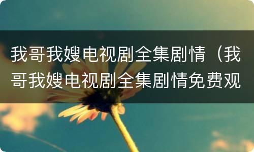 我哥我嫂电视剧全集剧情（我哥我嫂电视剧全集剧情免费观看37集）