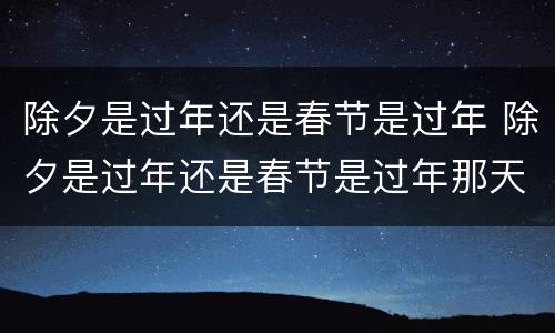 除夕是过年还是春节是过年 除夕是过年还是春节是过年那天