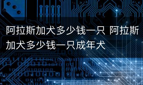 阿拉斯加犬多少钱一只 阿拉斯加犬多少钱一只成年犬