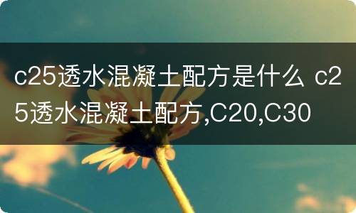 c25透水混凝土配方是什么 c25透水混凝土配方,C20,C30