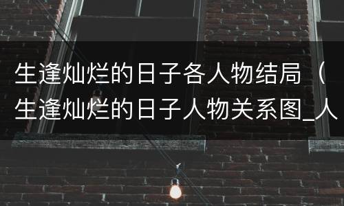 生逢灿烂的日子各人物结局（生逢灿烂的日子人物关系图_人物简介）