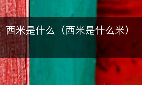 西米是什么（西米是什么米）