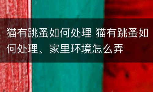 猫有跳蚤如何处理 猫有跳蚤如何处理、家里环境怎么弄