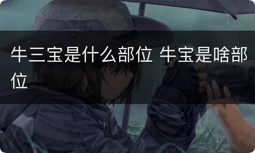 牛三宝是什么部位 牛宝是啥部位