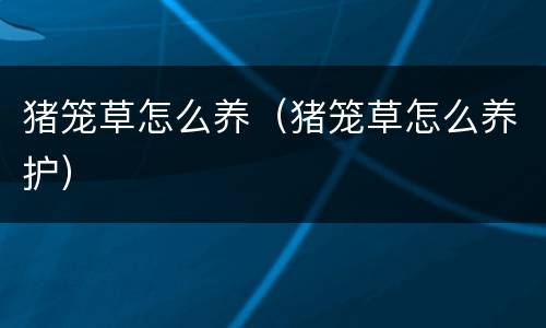 猪笼草怎么养（猪笼草怎么养护）