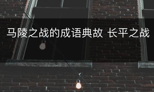 马陵之战的成语典故 长平之战