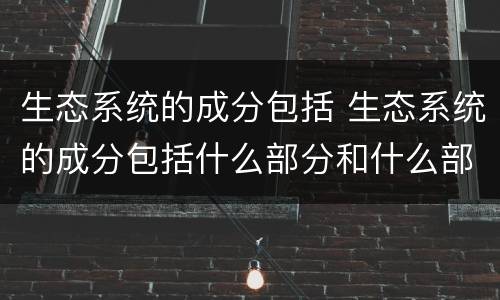 生态系统的成分包括 生态系统的成分包括什么部分和什么部分