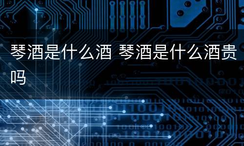 琴酒是什么酒 琴酒是什么酒贵吗