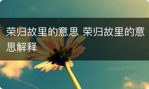 荣归故里的意思 荣归故里的意思解释