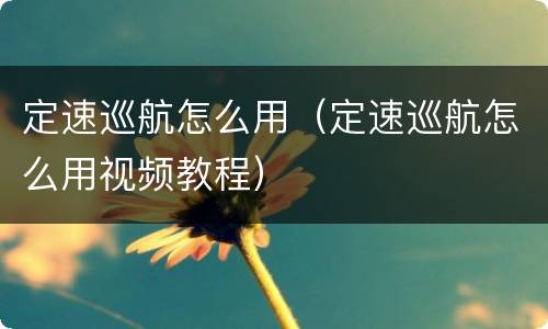定速巡航怎么用（定速巡航怎么用视频教程）