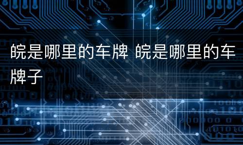 皖是哪里的车牌 皖是哪里的车牌子