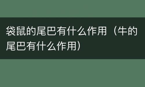 袋鼠的尾巴有什么作用（牛的尾巴有什么作用）
