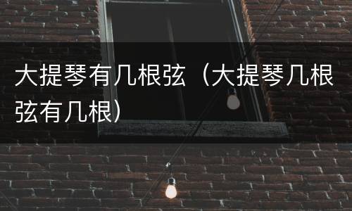 大提琴有几根弦（大提琴几根弦有几根）