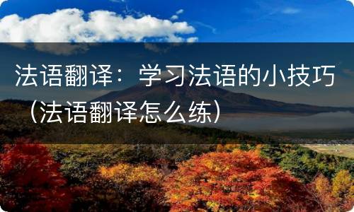法语翻译：学习法语的小技巧（法语翻译怎么练）