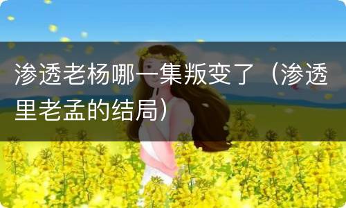 渗透老杨哪一集叛变了（渗透里老孟的结局）