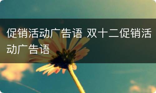 促销活动广告语 双十二促销活动广告语