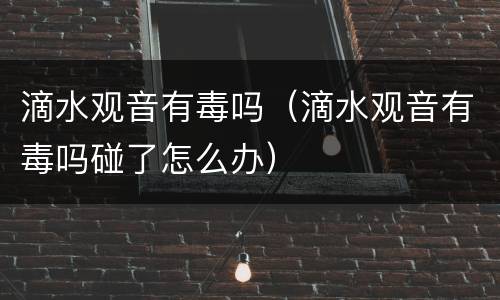 滴水观音有毒吗（滴水观音有毒吗碰了怎么办）