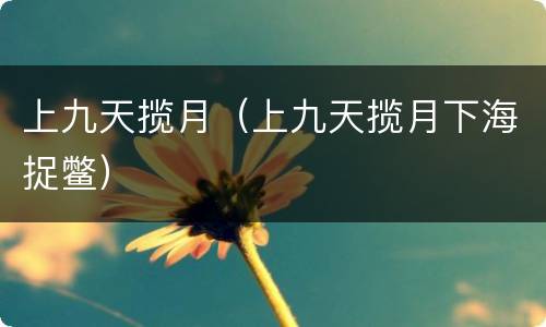 上九天揽月（上九天揽月下海捉鳖）