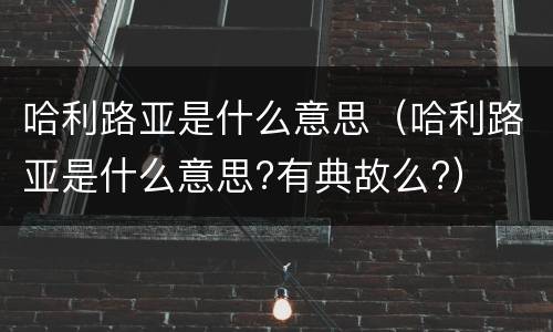 哈利路亚是什么意思（哈利路亚是什么意思?有典故么?）
