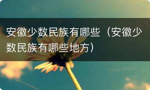 安徽少数民族有哪些（安徽少数民族有哪些地方）