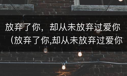 放弃了你，却从未放弃过爱你（放弃了你,却从未放弃过爱你歌词）