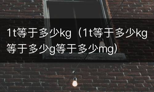 1t等于多少kg（1t等于多少kg等于多少g等于多少mg）