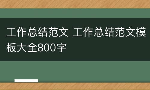 工作总结范文 工作总结范文模板大全800字