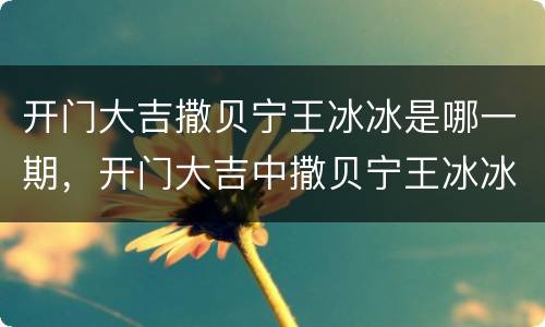 开门大吉撒贝宁王冰冰是哪一期，开门大吉中撒贝宁王冰冰是在哪一期