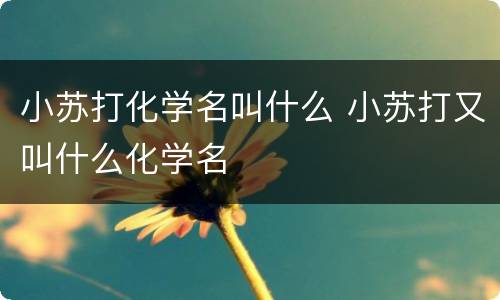 小苏打化学名叫什么 小苏打又叫什么化学名