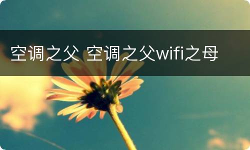空调之父 空调之父wifi之母