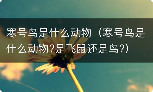 寒号鸟是什么动物（寒号鸟是什么动物?是飞鼠还是鸟?）