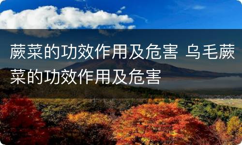 蕨菜的功效作用及危害 乌毛蕨菜的功效作用及危害