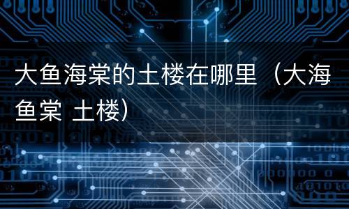 大鱼海棠的土楼在哪里（大海鱼棠 土楼）
