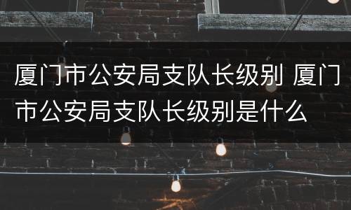 厦门市公安局支队长级别 厦门市公安局支队长级别是什么