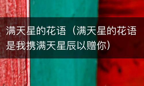 满天星的花语（满天星的花语是我携满天星辰以赠你）