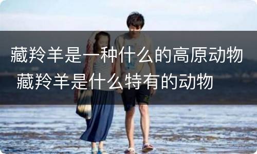 藏羚羊是一种什么的高原动物 藏羚羊是什么特有的动物