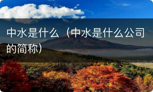 中水是什么（中水是什么公司的简称）