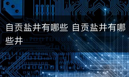 自贡盐井有哪些 自贡盐井有哪些井