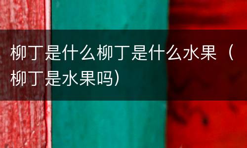 柳丁是什么柳丁是什么水果（柳丁是水果吗）