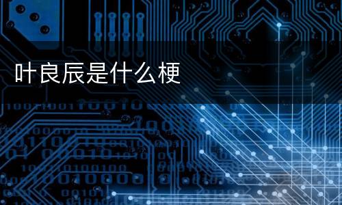 叶良辰是什么梗