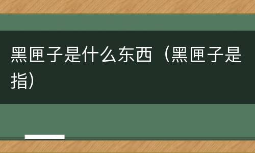 黑匣子是什么东西（黑匣子是指）