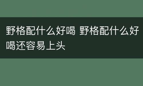 野格配什么好喝 野格配什么好喝还容易上头
