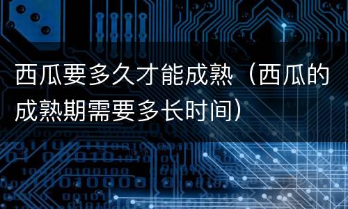 西瓜要多久才能成熟（西瓜的成熟期需要多长时间）